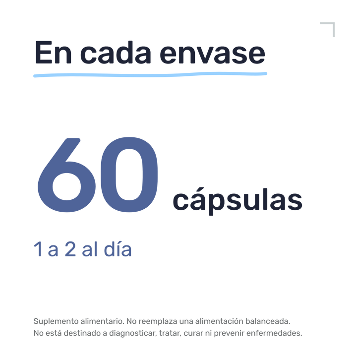 Alcachofa — En cada envase: 60 cápsulas, 1 a 2 al día
