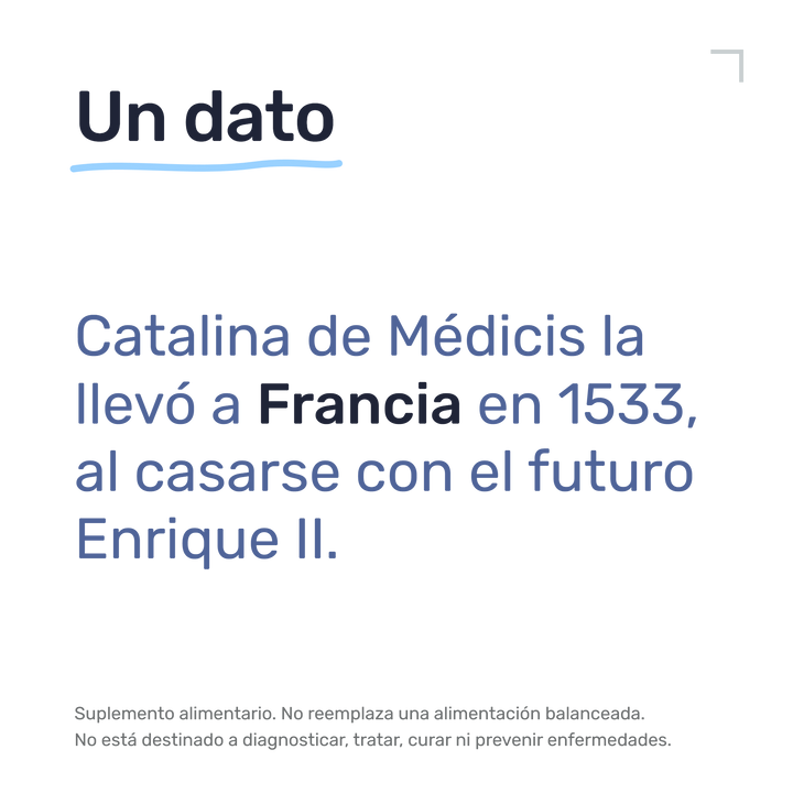 Alcachofa — Un dato: Catalina de Médicis la llevó a Francia en 1533, al casarse con el futuro Enrique II.
