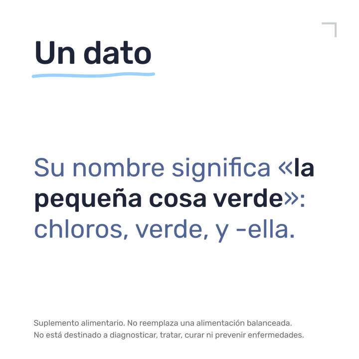 Chlorella 500 mg — Un dato: Su nombre significa «la pequeña cosa verde»: chloros, verde, y -ella.