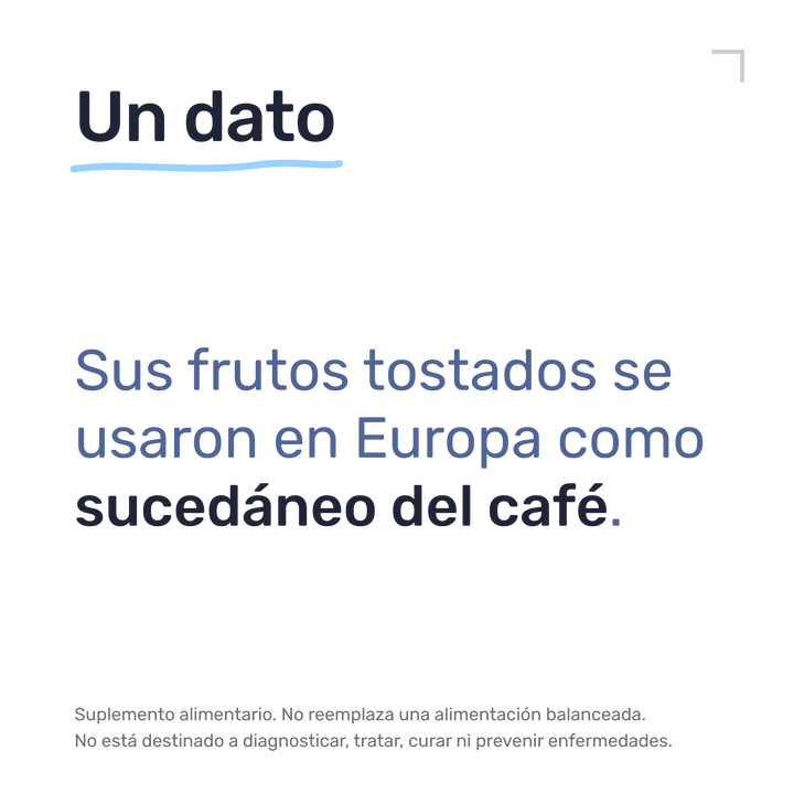 Cardo Mariano 1000mg — Un dato: Sus frutos tostados se usaron en Europa como sucedáneo del café.