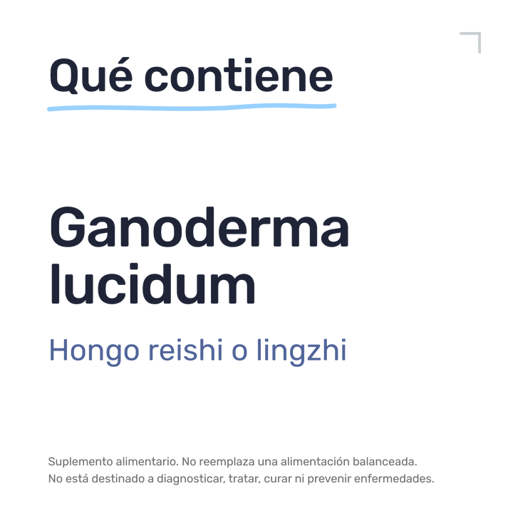 Ganoderma — Qué contiene: Ganoderma lucidum: hongo reishi o lingzhi