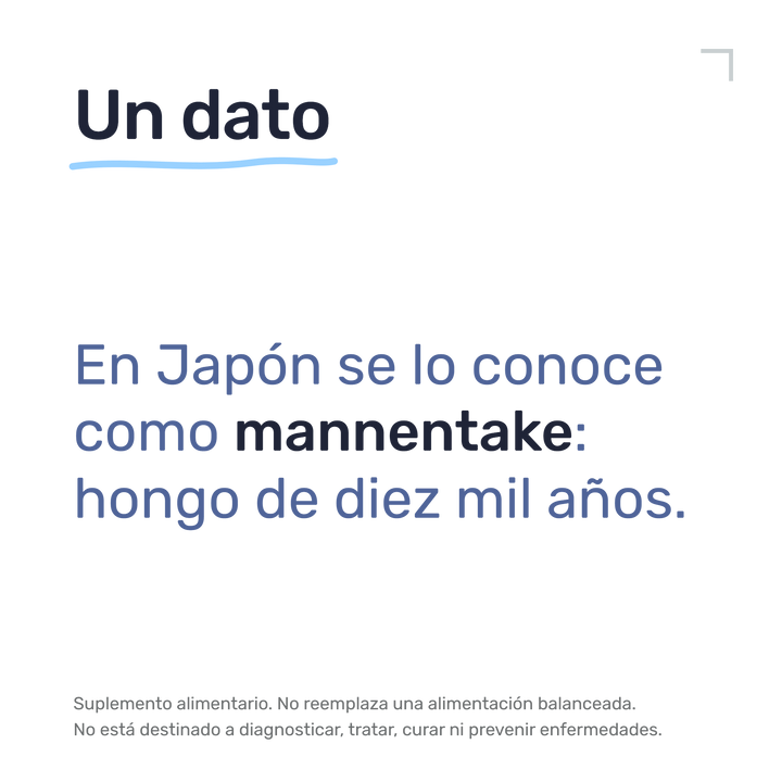 Ganoderma — Un dato: En Japón se lo conoce como mannentake: hongo de diez mil años.