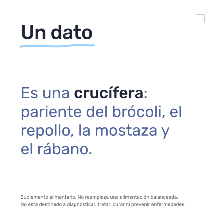 Maca Negra — Un dato: Es una crucífera: pariente del brócoli, el repollo, la mostaza y el rábano.