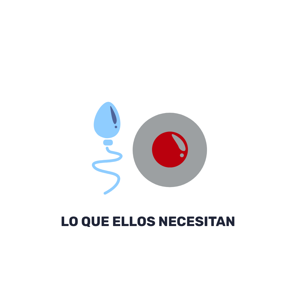 Fertilidad