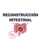 Lactibiane CND 10 [30 Cápsulas]