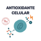 L-Glutation 500mg [90 cápsulas]