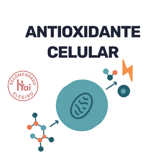 L-Glutation 500mg [90 cápsulas]