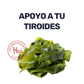 Kelp [60 Tabletas]
