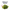 Kelp [60 Tabletas]