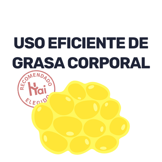 L-Carnitina 500mg [60 Cápsulas]