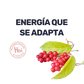 Schizandra [60 Cápsulas]