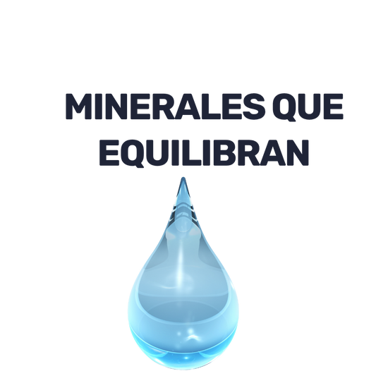 Agua de Mar [1 Lt]