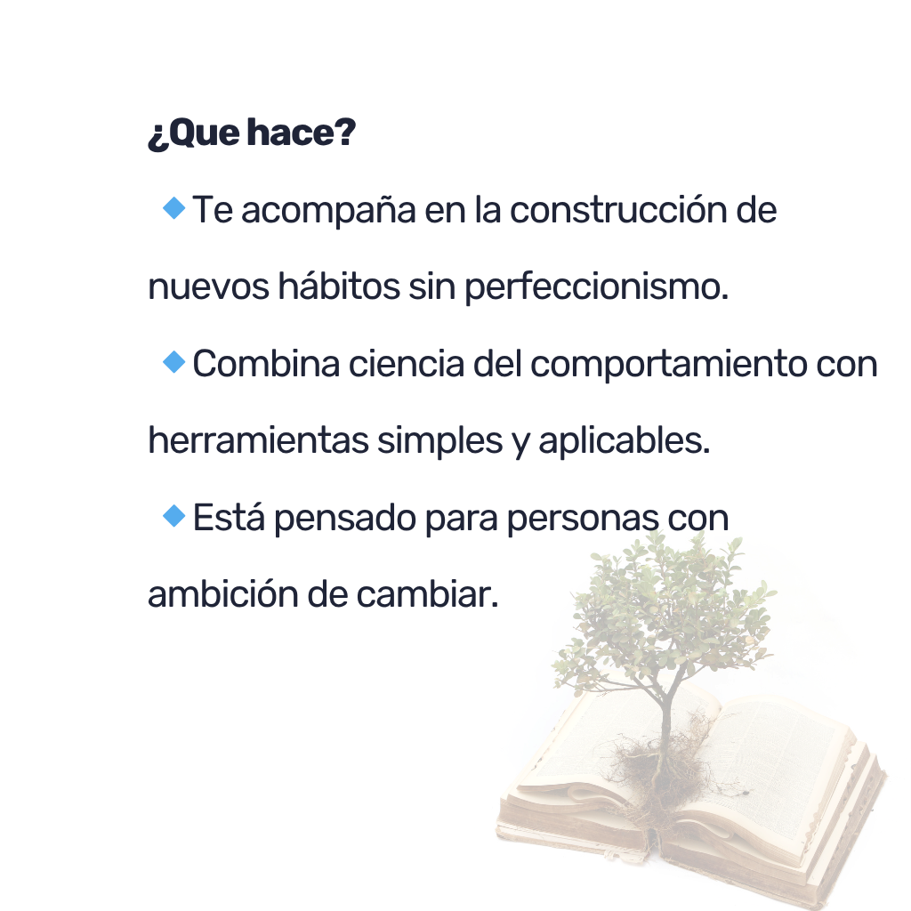 Libro - Un Hábito a la vez [Papel]