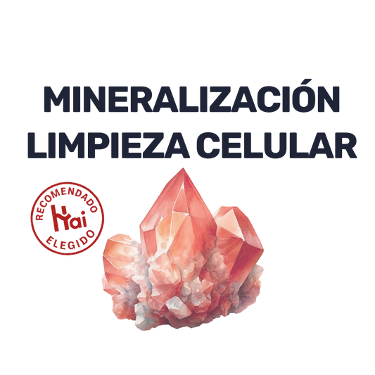 Diatomeas [90 Cápsulas]