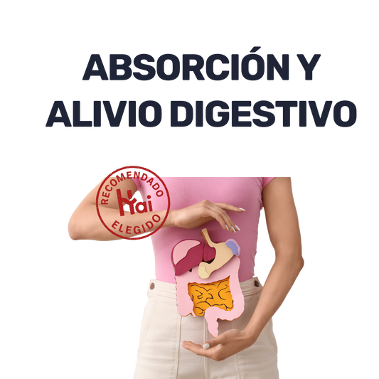 Enzimas Digestivas 500 mg [60 cápsulas]