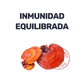 Ganoderma [60 Cápsulas]
