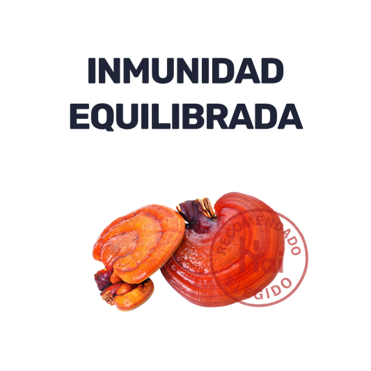 Ganoderma [60 Cápsulas]