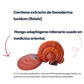 Ganoderma [60 Cápsulas]