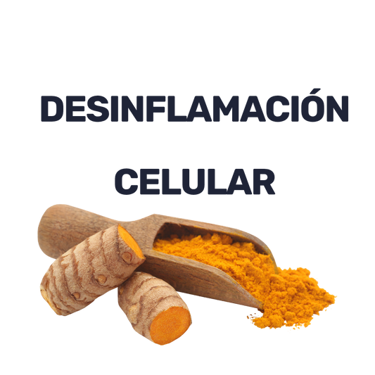 Cúrcuma [60 Cápsulas]