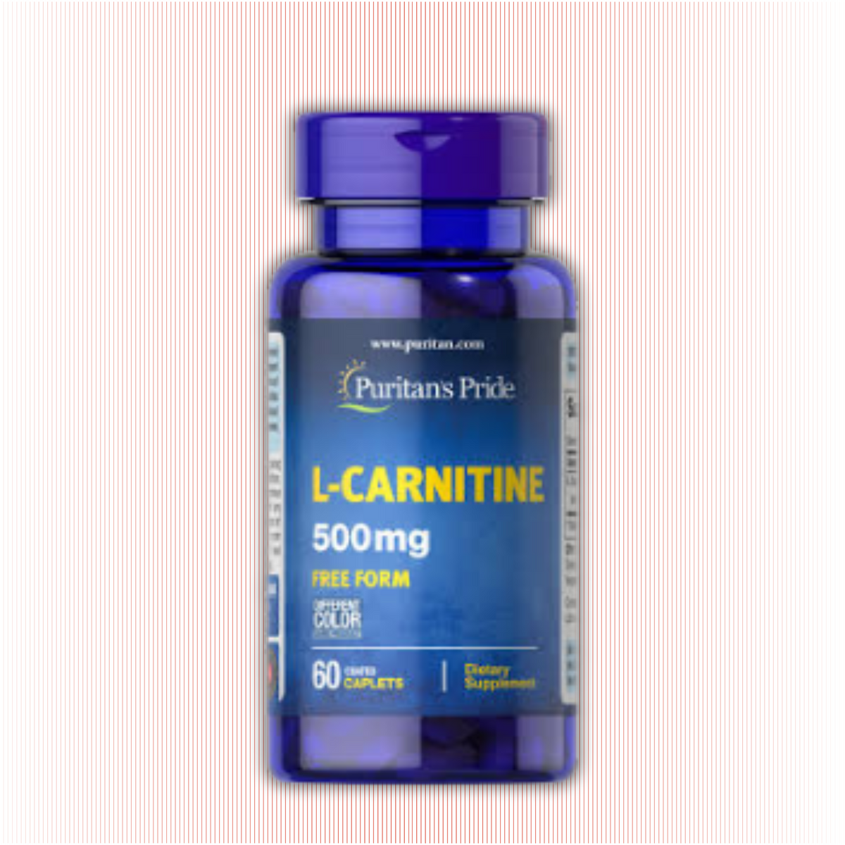 L-Carnitina 500mg (60 Cápsulas)