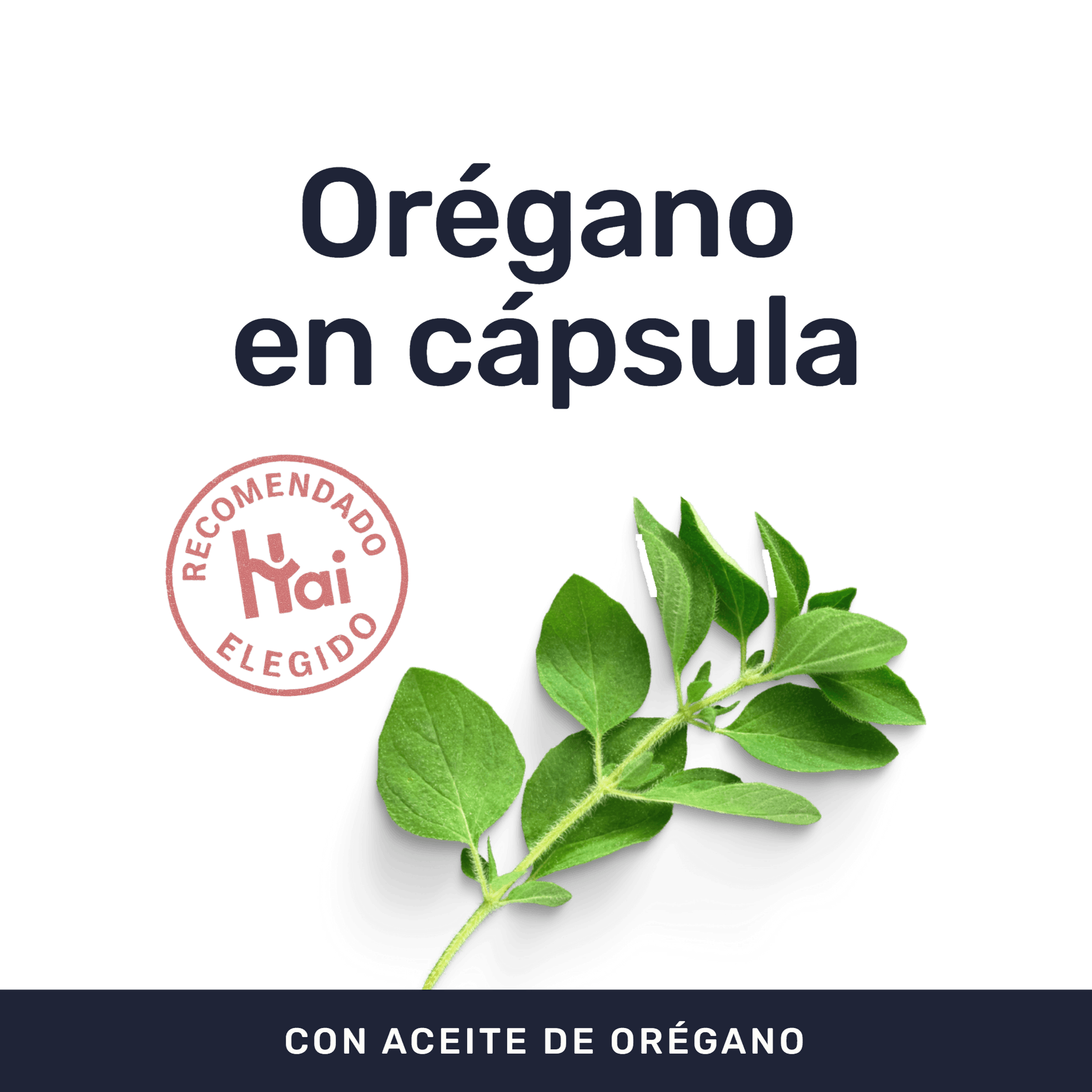 Aceite de Orégano [60 Cápsulas] — imagen 2