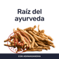 African Root [90 Cápsulas] — imagen 2