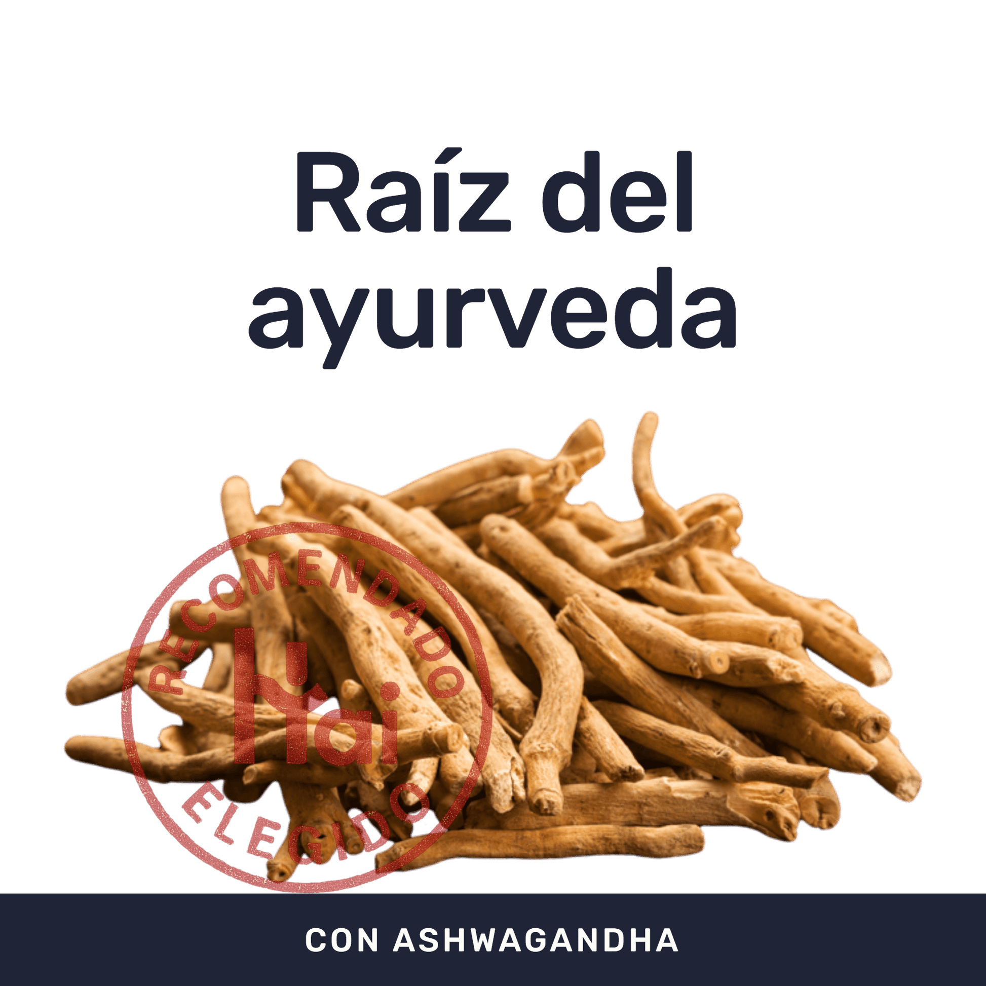 African Root [90 Cápsulas] — imagen 2