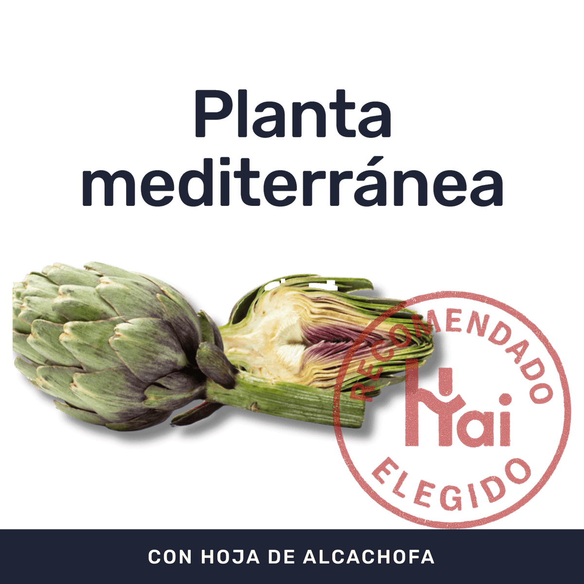 Alcachofa [60 Cápsulas] — imagen 2