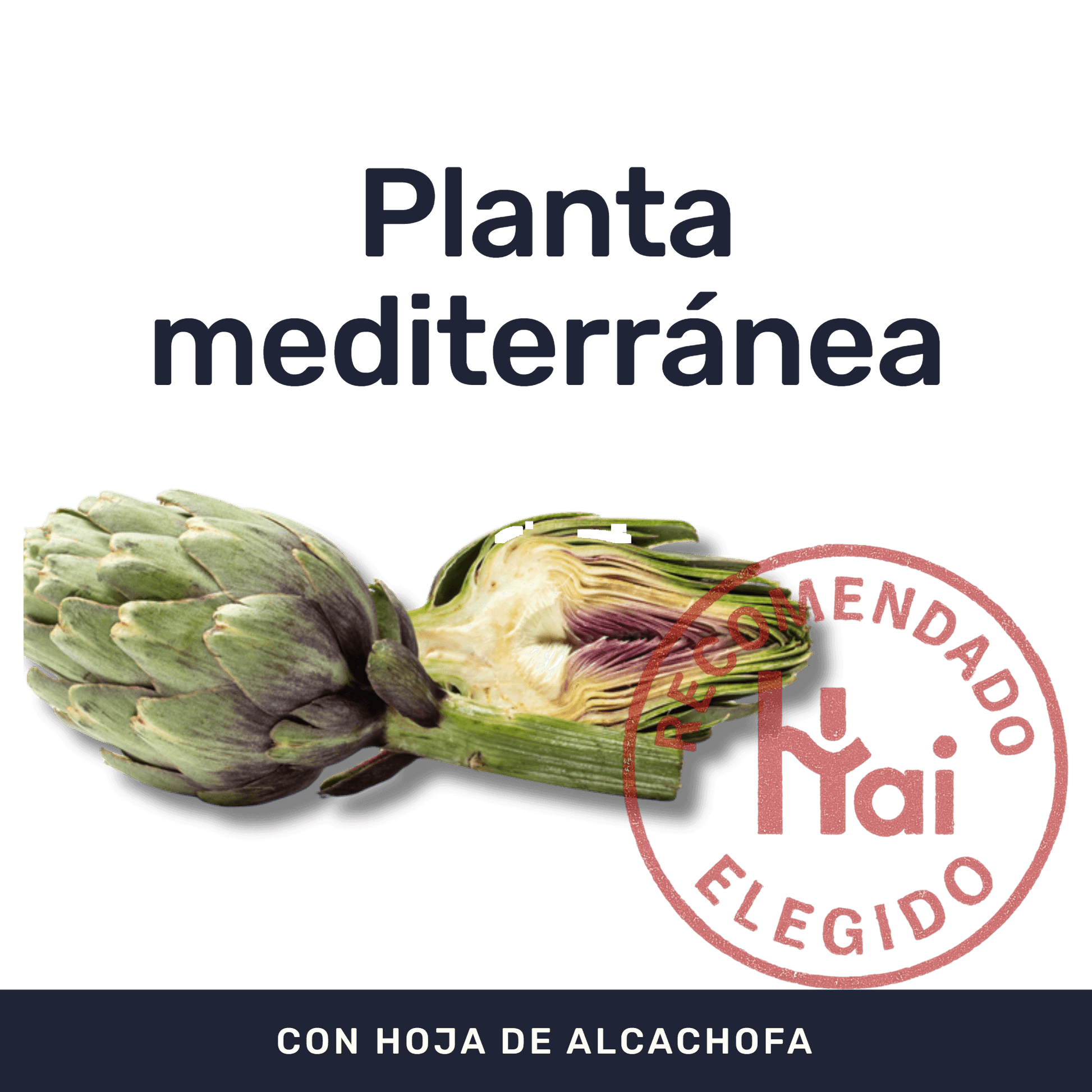 Alcachofa [60 Cápsulas] — imagen 2