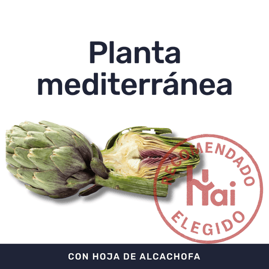 Alcachofa [60 Cápsulas] — imagen 2