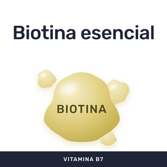 B7 [90 Cápsulas] — imagen 2