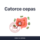 Biotics [60 Cápsulas] — imagen 2