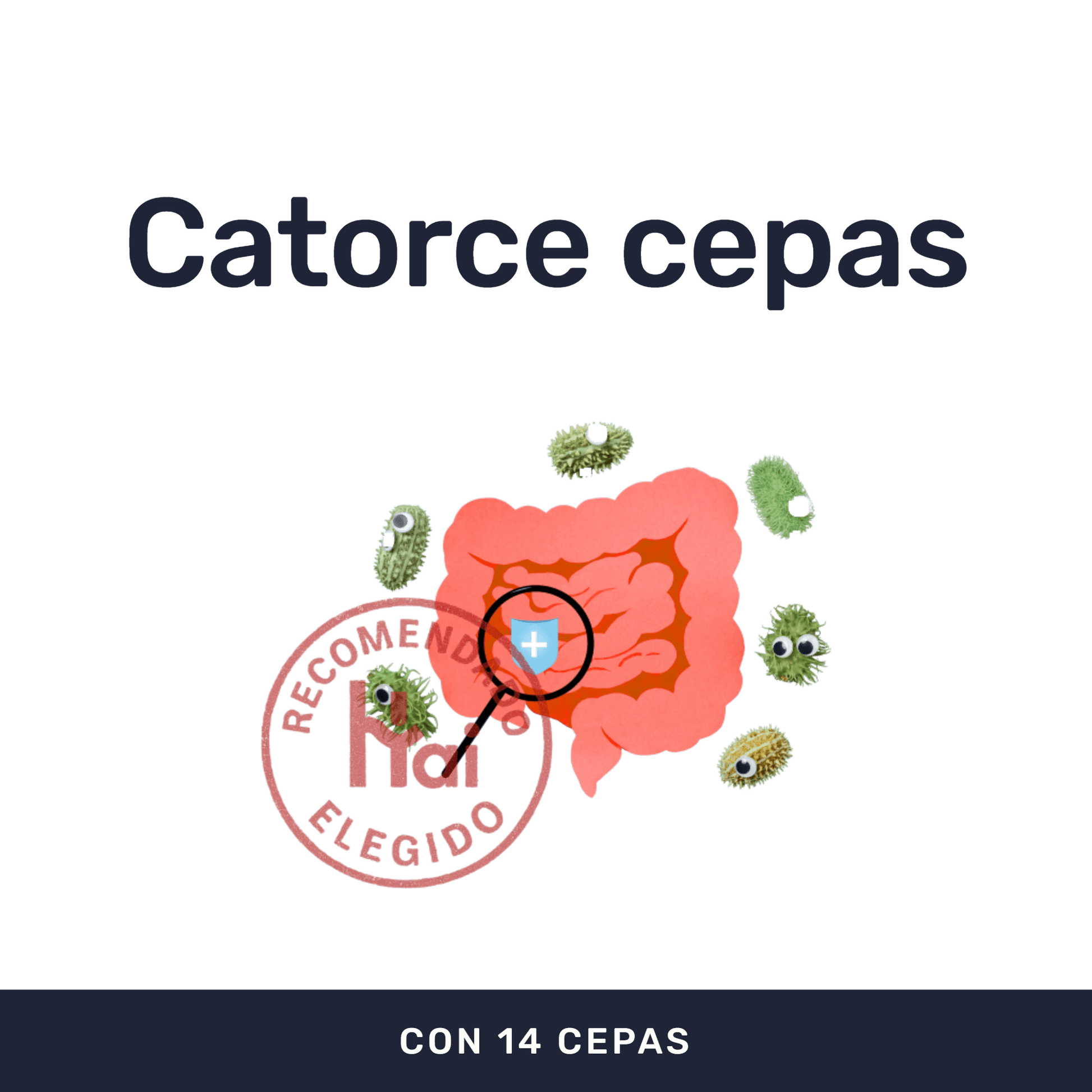 Biotics [60 Cápsulas] — imagen 2