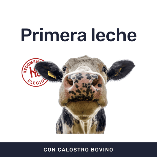 Calostrum Bovino 500mg [60 Cápsulas] — imagen 2