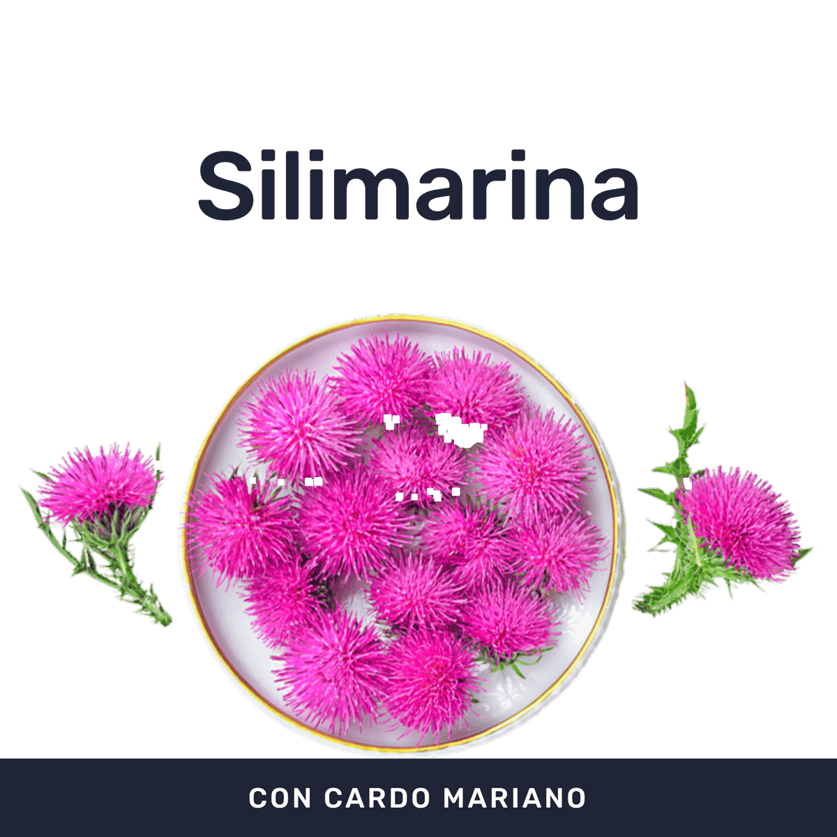 Cardo Plus 500mg [60 Cápsulas] — imagen 2
