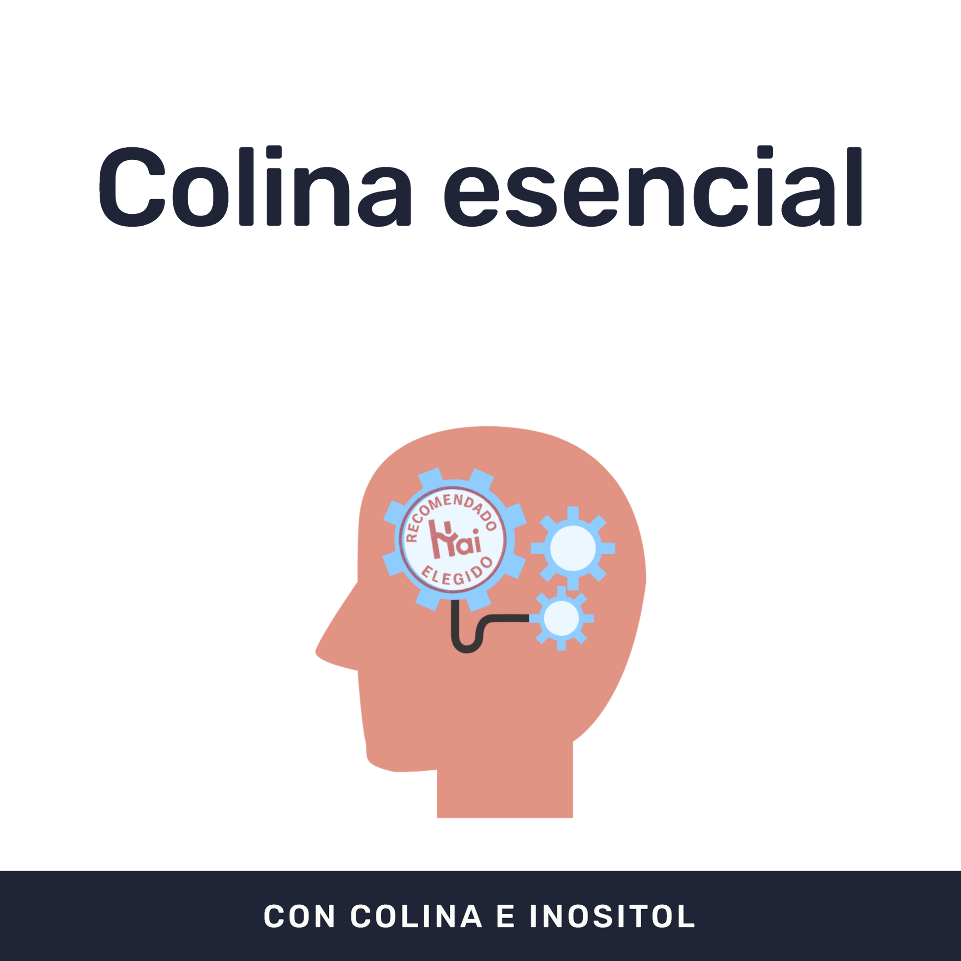 Colina + Inositol [60 Cápsulas] — imagen 2