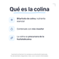 Colina + Inositol [60 Cápsulas] — imagen 3