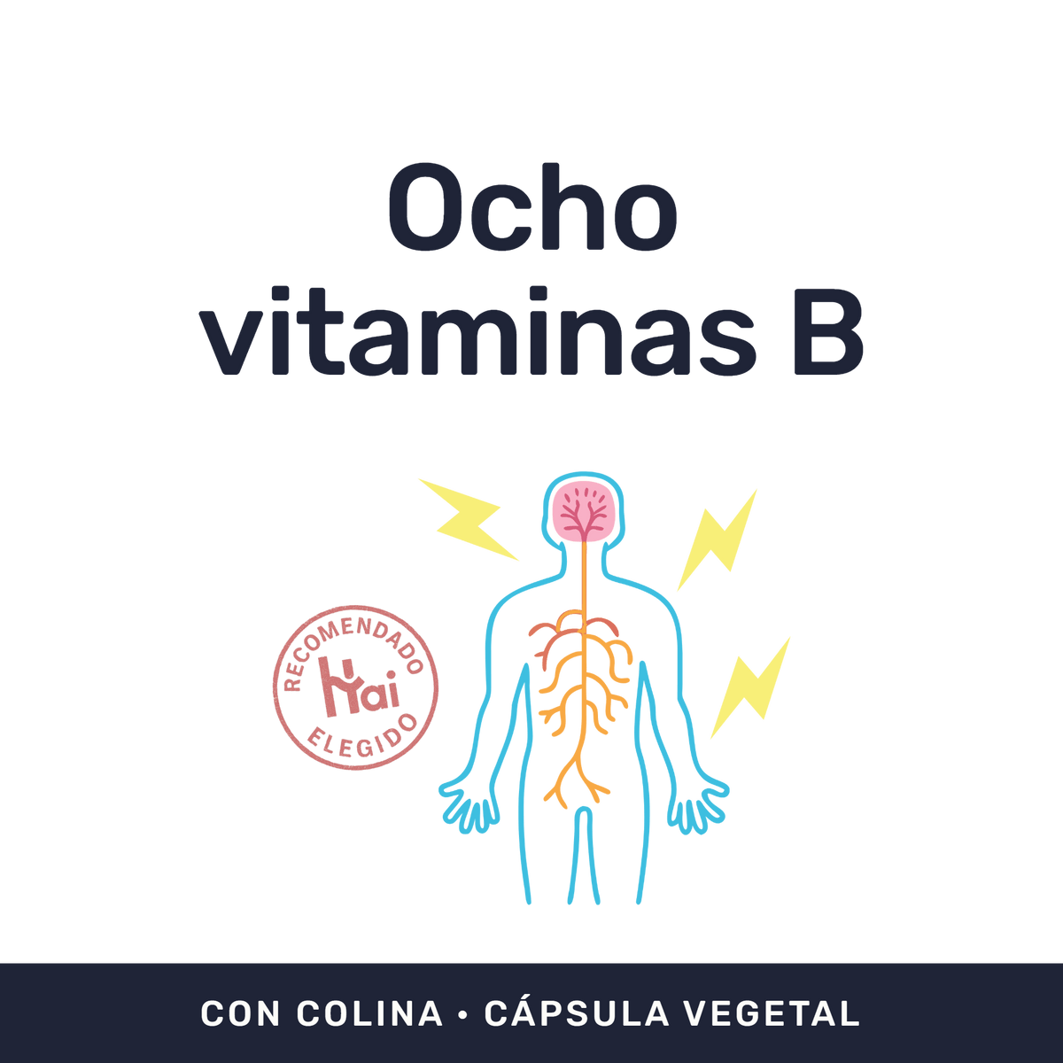 Complejo B 450 mg [60 cápsulas] — imagen 2