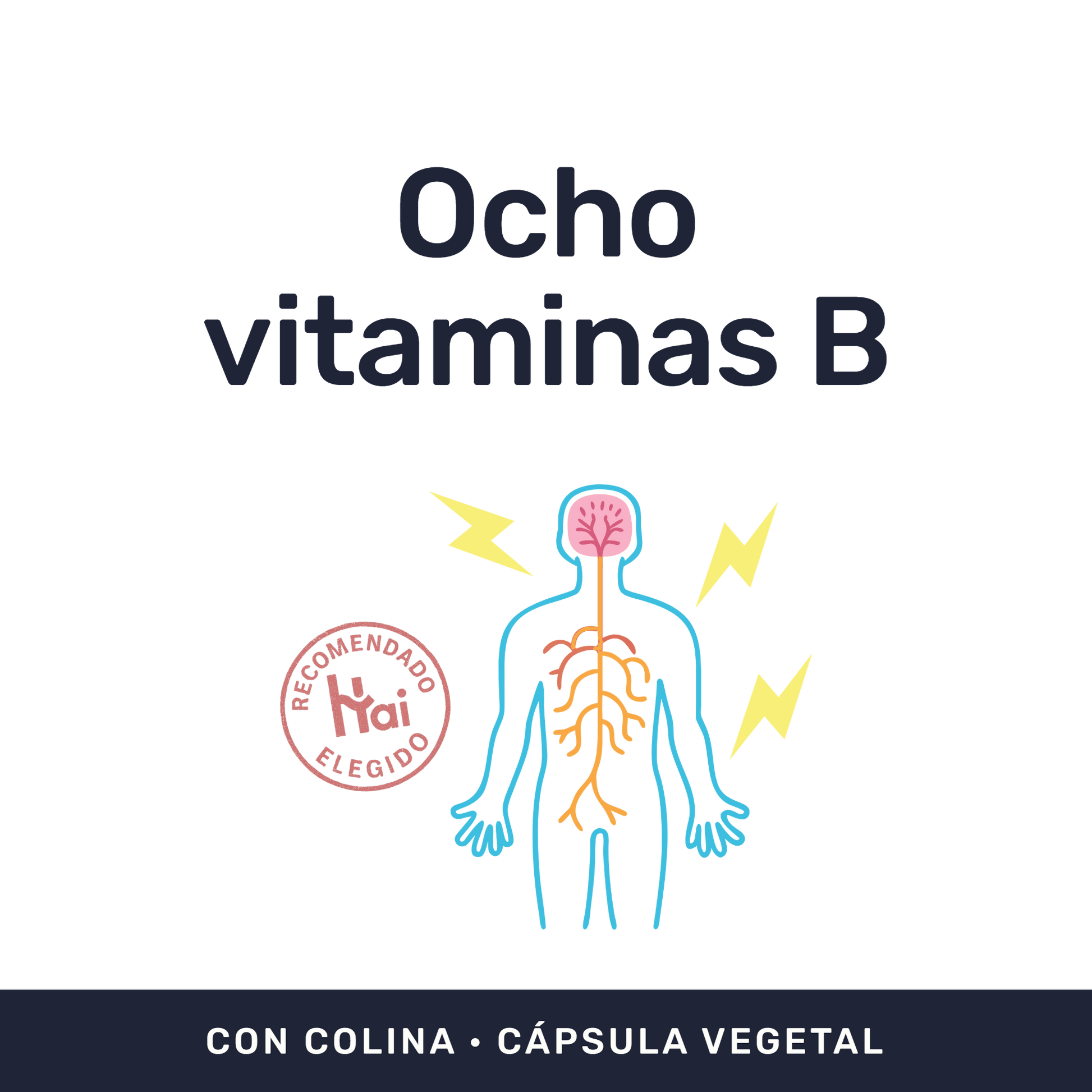 Complejo B 450 mg [60 cápsulas] — imagen 2