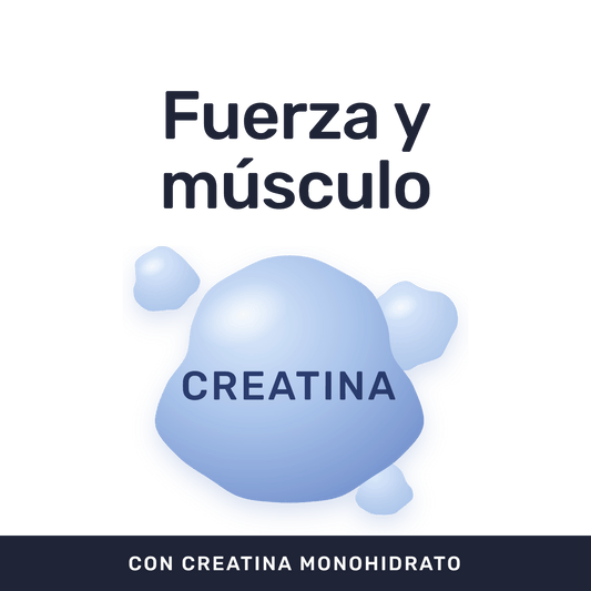 Creatina Monohidrato Pura [300 Gr] — imagen 2
