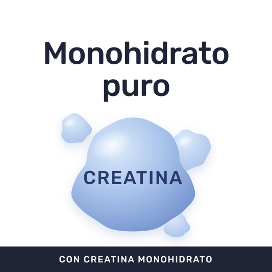 Creatina Monohidrato Pura [300 Gr] — imagen 2