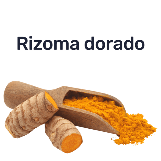 Cúrcuma — Rizoma dorado