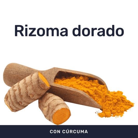 Cúrcuma [60 Cápsulas] — imagen 2