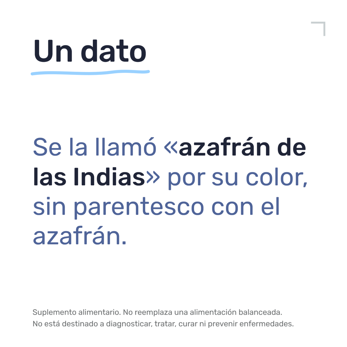 Cúrcuma — Un dato: Se la llamó «azafrán de las Indias» por su color, sin parentesco con el azafrán.
