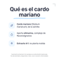 Cardo Mariano 1000mg [180 Cápsulas] — imagen 3