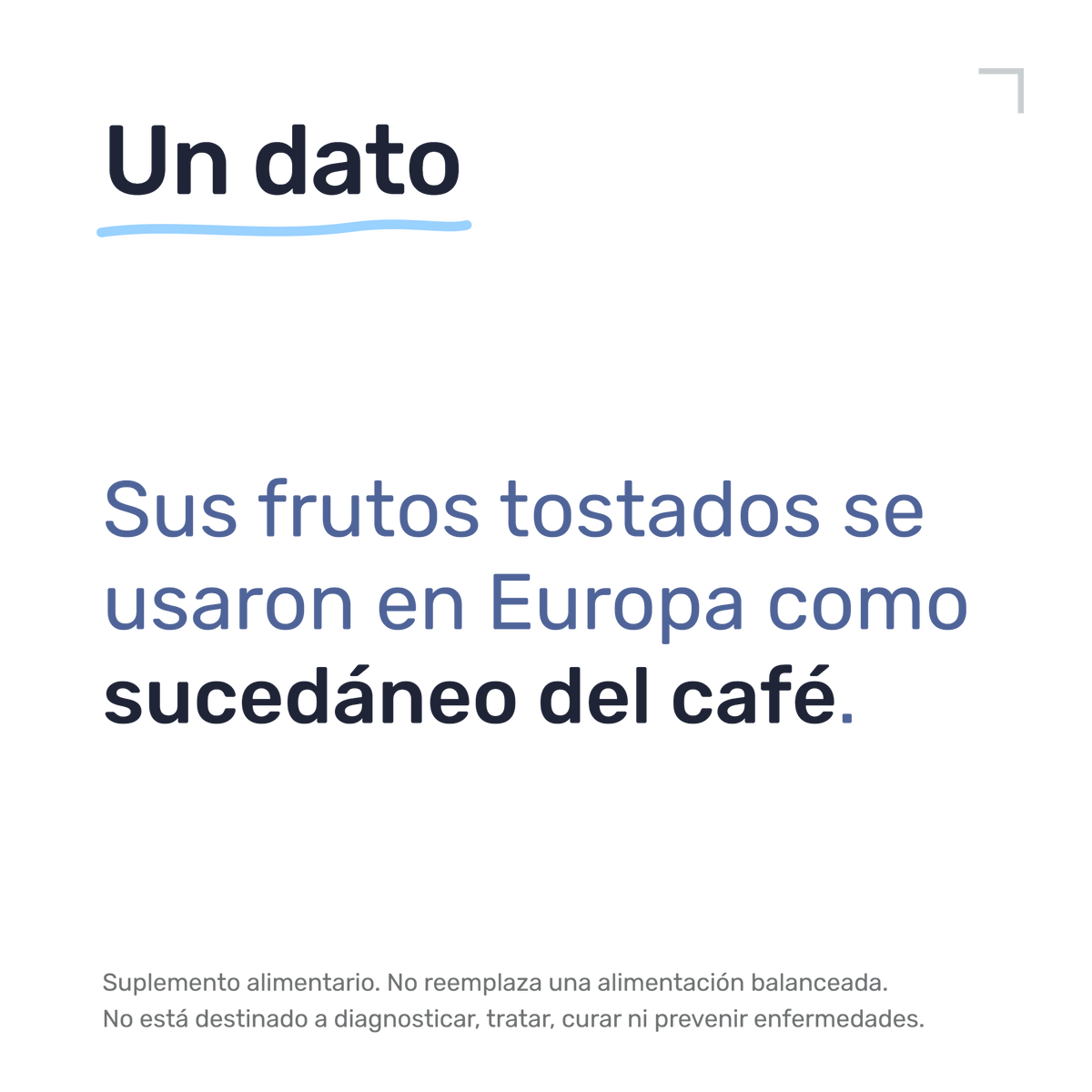 Cardo Mariano 1000mg — Un dato: Sus frutos tostados se usaron en Europa como sucedáneo del café.