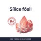 Diatomeas [90 Cápsulas] — imagen 2