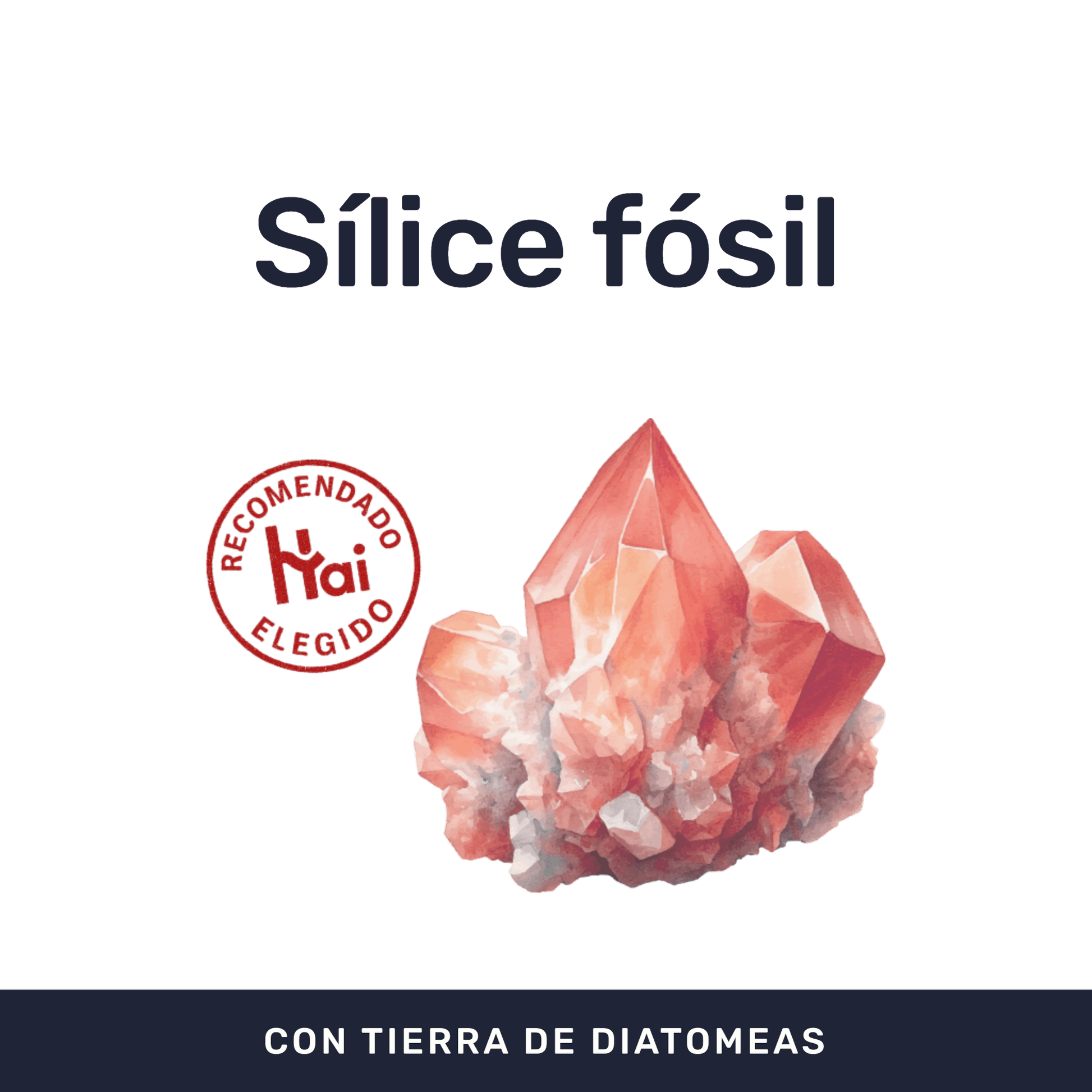 Diatomeas [90 Cápsulas] — imagen 2