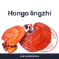 Ganoderma [60 Cápsulas] — imagen 2