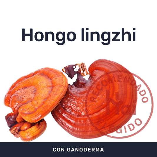 Ganoderma [60 Cápsulas] — imagen 2